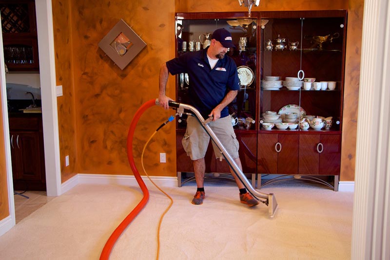 Carpet Cleaning Ann Arbor