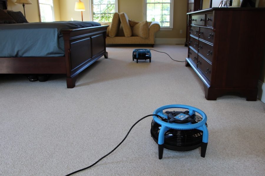 Carpet Cleaner in Ann Arbor, MI Best Way Carpet Cleaning