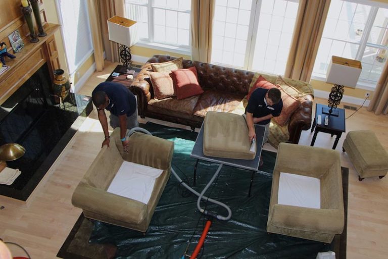 Carpet Cleaner in Ann Arbor, MI Best Way Carpet Cleaning