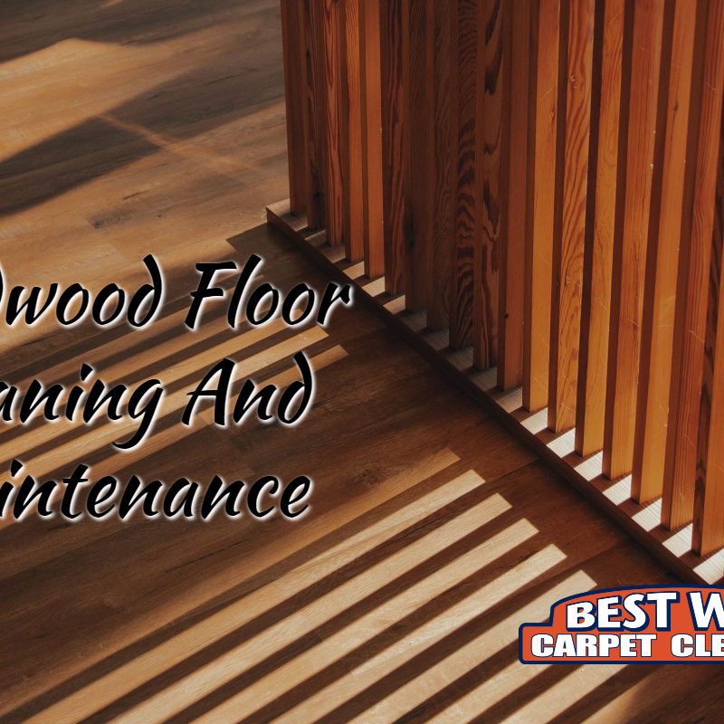 Hardwood Flooring Maintenance Tips Best Way Carpet Cleaning
