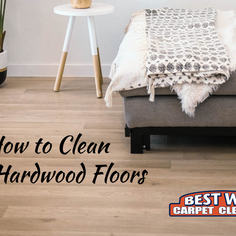 Floor Cleaning Tips for COVID-19  Carpets, Hardwood, Vinyl Flooring