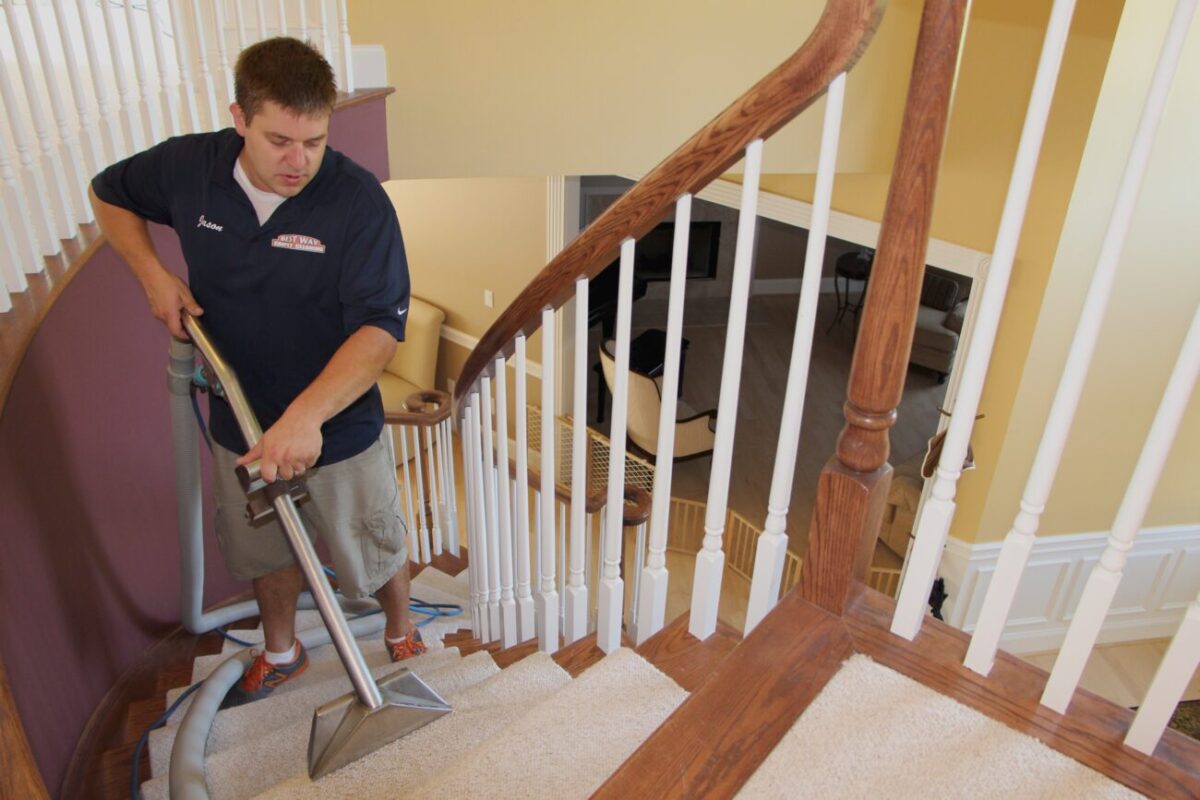 Why Hire a Professional Carpet Cleaning Company?