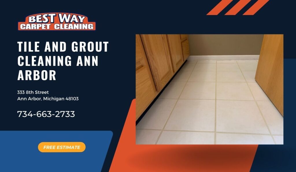 Tile and Grout cleaning company ann arbor 