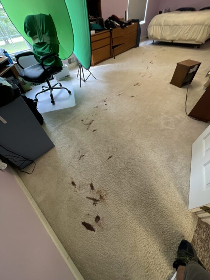 How to Remove Coffee and Tea from Carpet