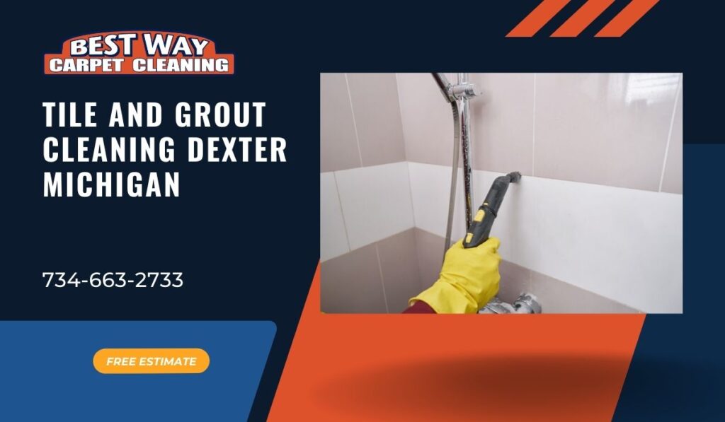 professional tile and grout cleaning dexter mi