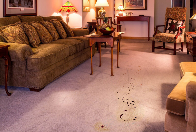 6 Signs That Your Carpets Might Need Replaced